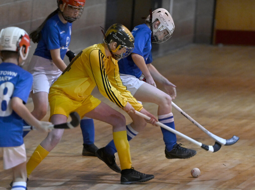 Shinty festival highlights need for indoor facilities