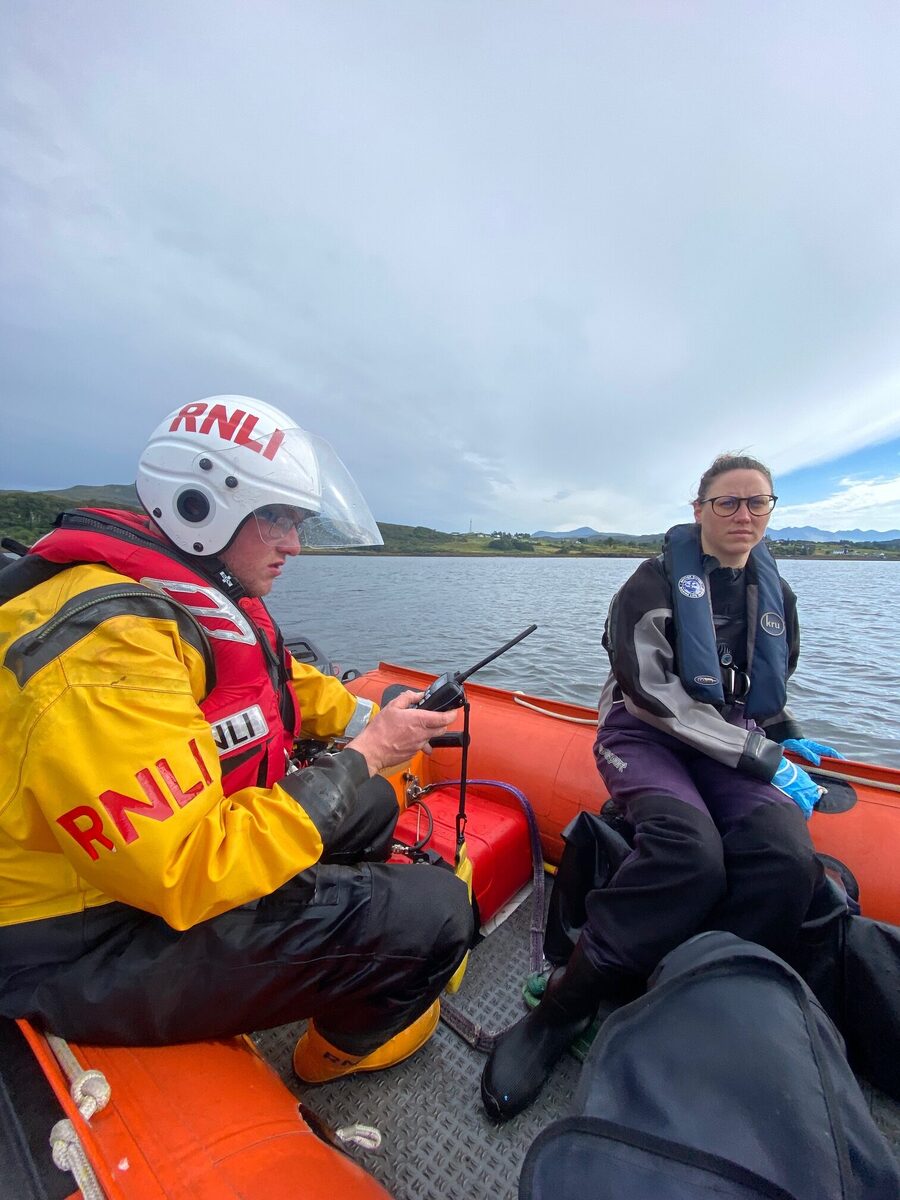 Rescue mounted after mass dolphin stranding in Skye