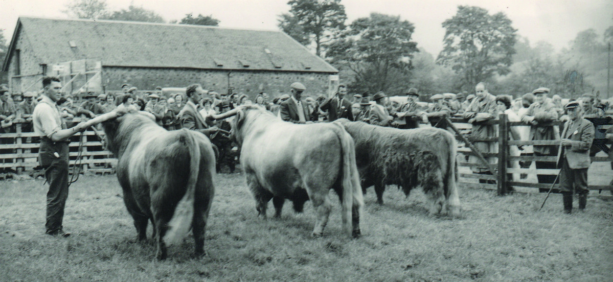 100 years of Dalmally Show - read all about it
