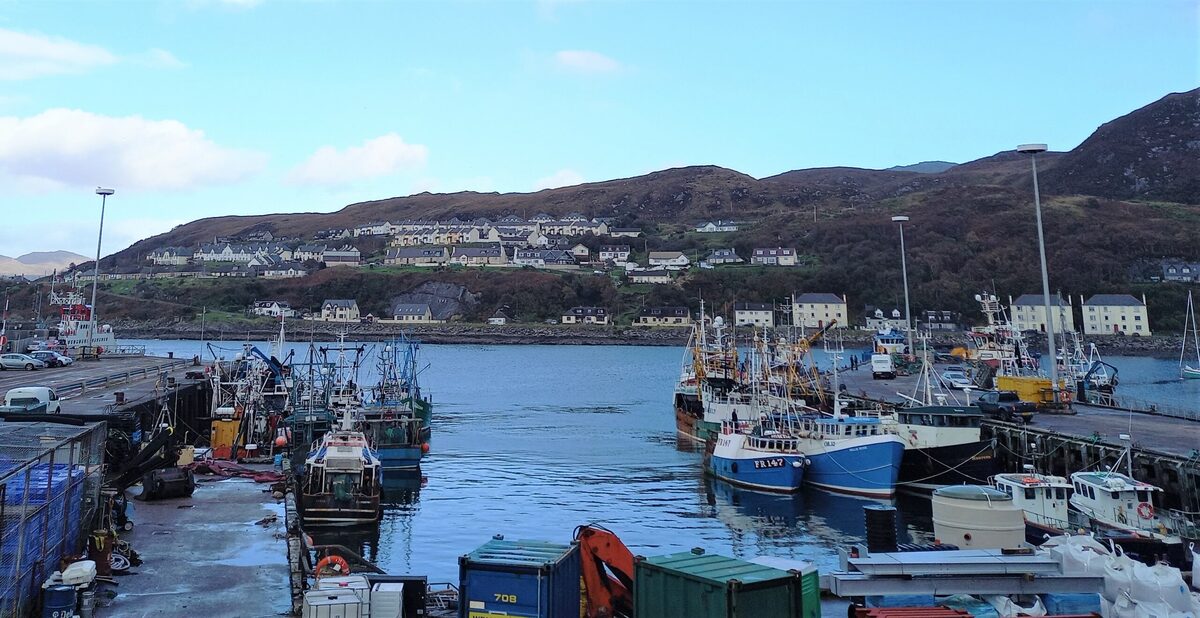 Cautious welcome as Mallaig fish figures show recovery