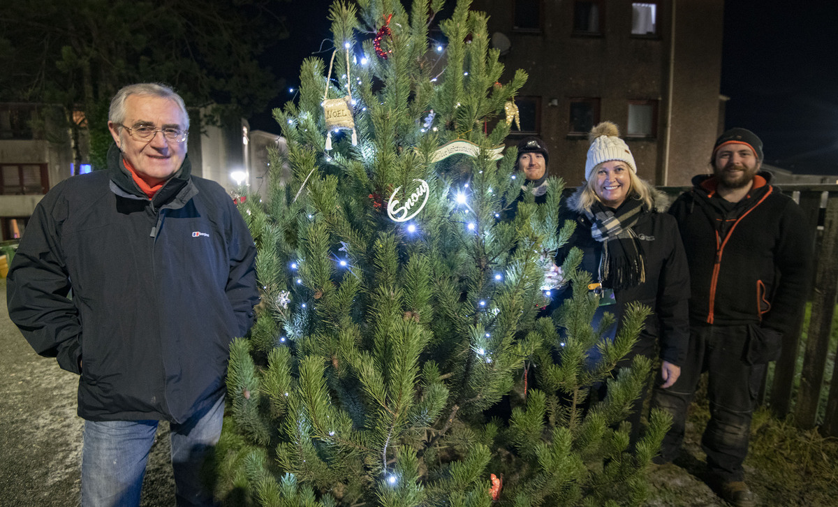 Festive lights switched on by Plantation residents