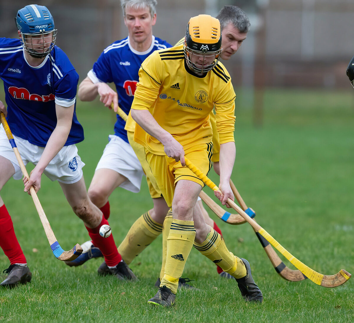 The Shinty Round Up – Saturday February 18 2023