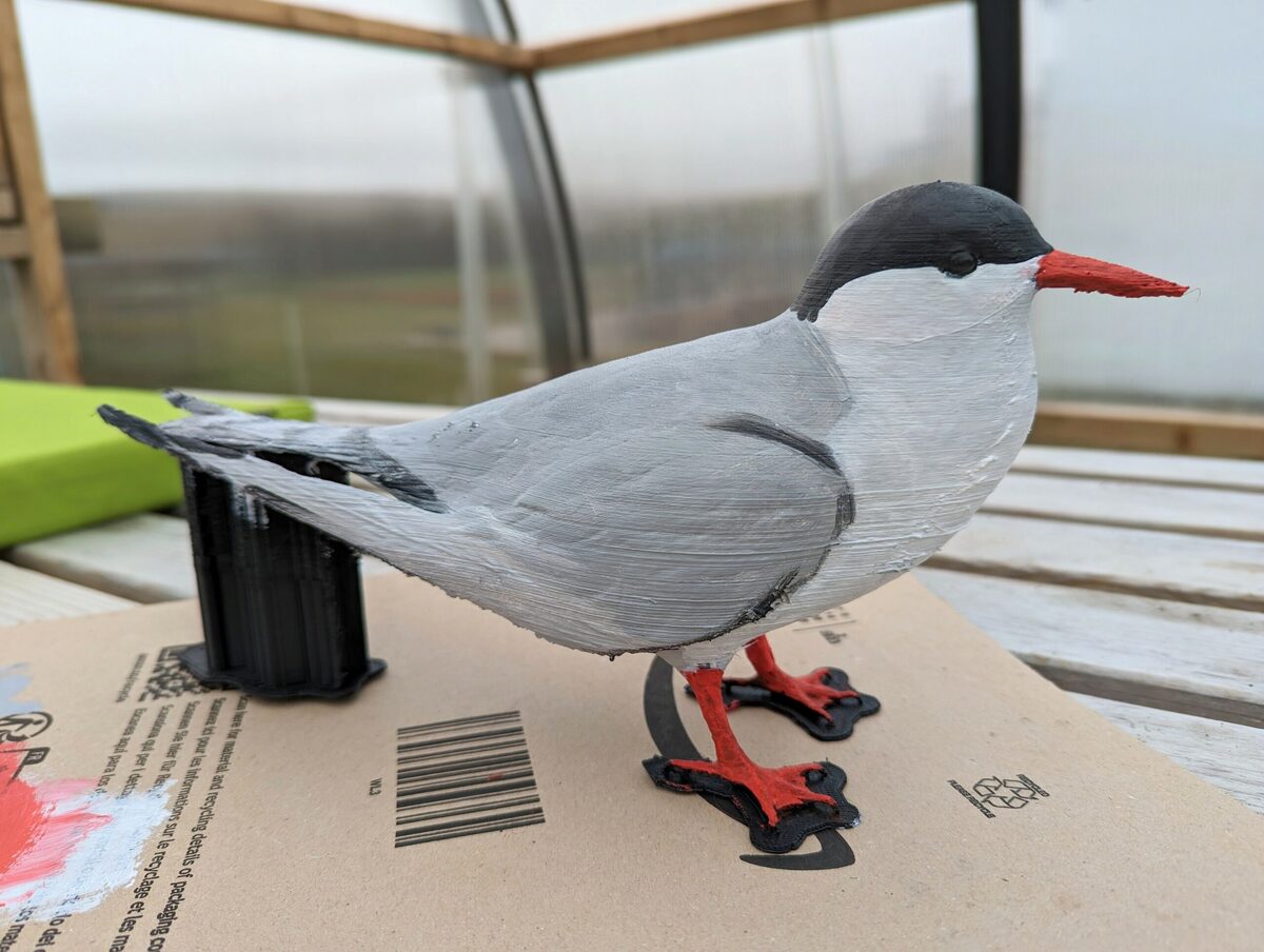 UHI's 3D-printed terns help ocean's great wanderers find nesting spots