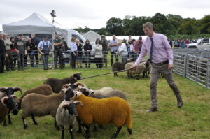 ‘Deep dissatisfaction’ as school holidays force Islay show shift
