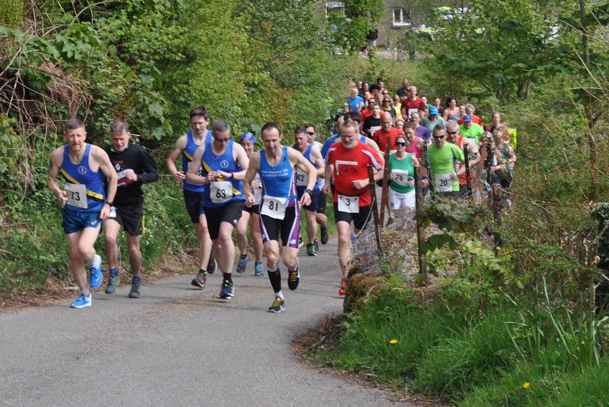 Taynish Run Festival offers three routes