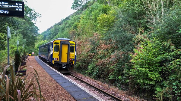 Person dies after being struck by a train