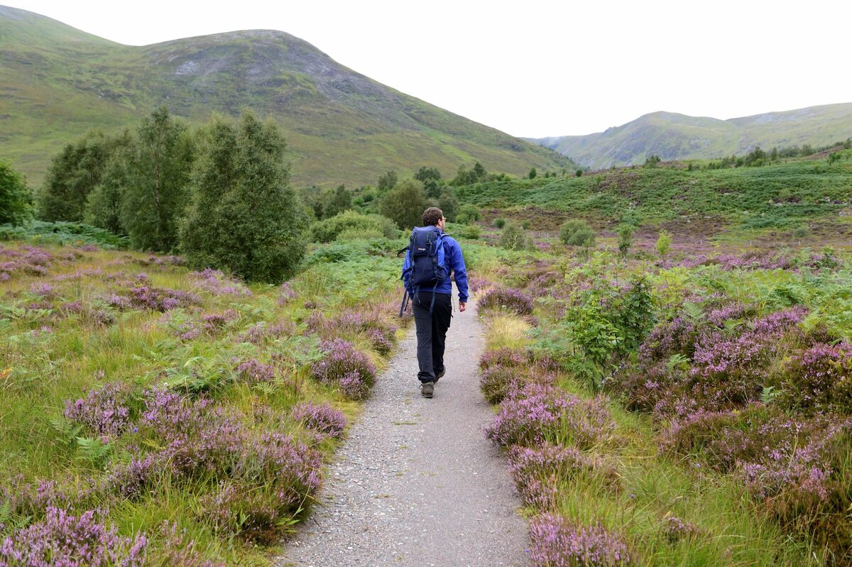 Hill walkers urged to head online for deer stalking info