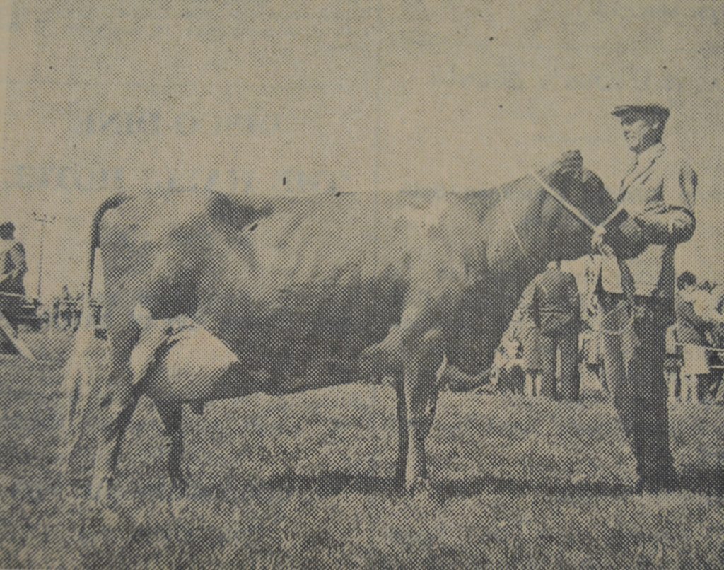 NO_c24files02-1024x806.jpg NO_c24files02-1024x806.jpg