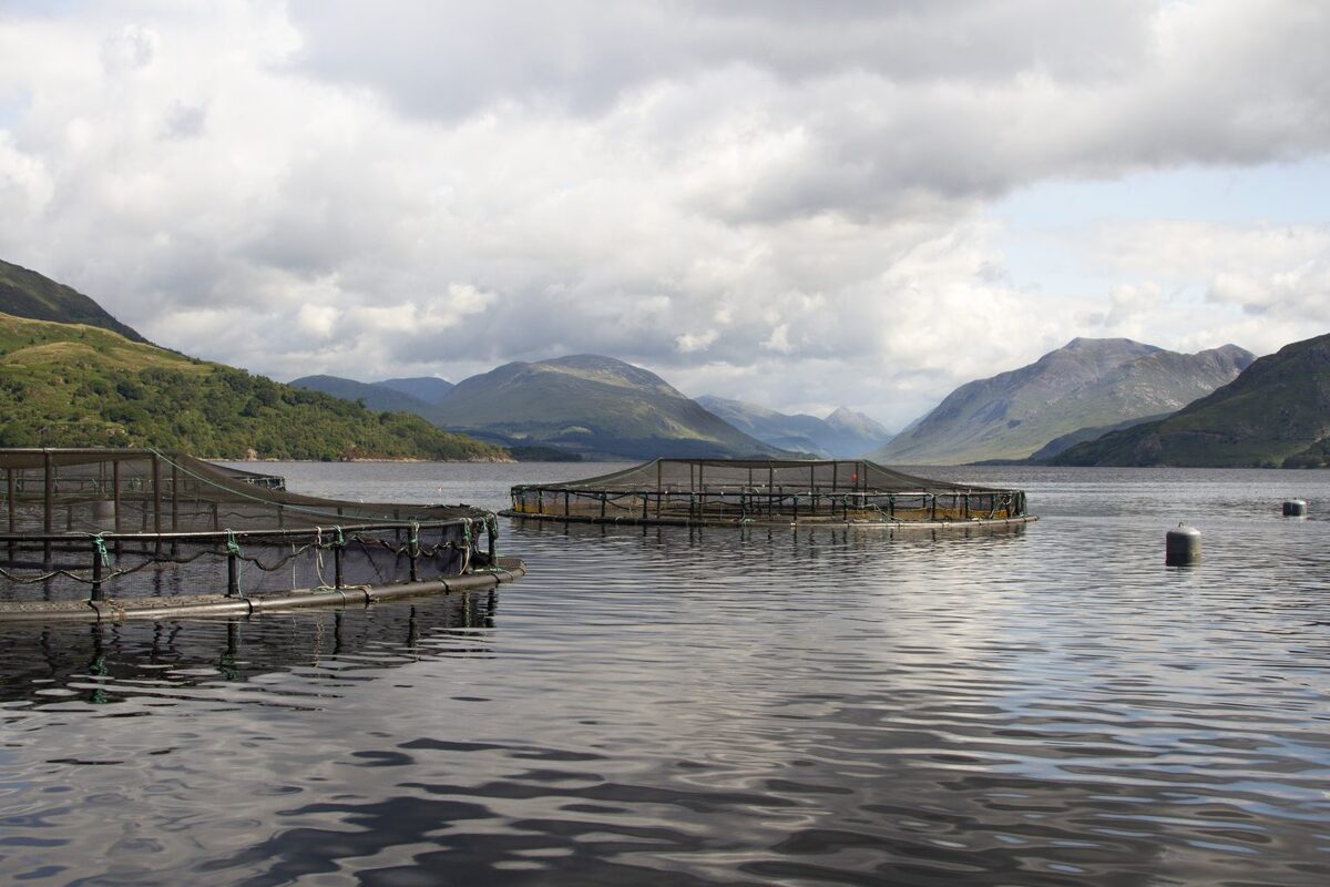 People invited to have their say on Loch Etive fish farm proposals