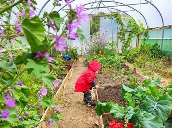 Pupils' pocket garden ideas sought