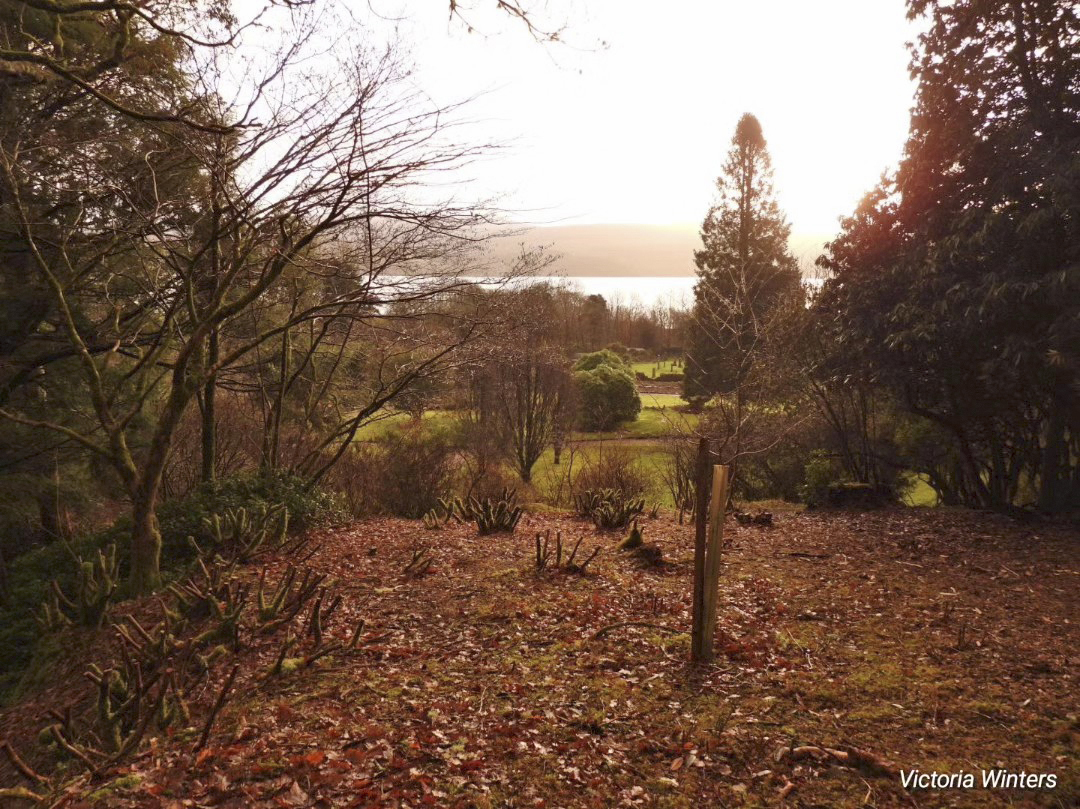 NTS and Friends of Crarae work to restore garden after 2023 flooding