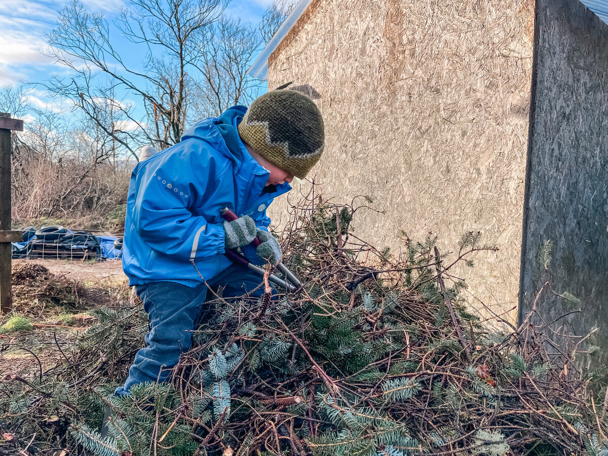 Community rallies in the wake of Storm Gerrit