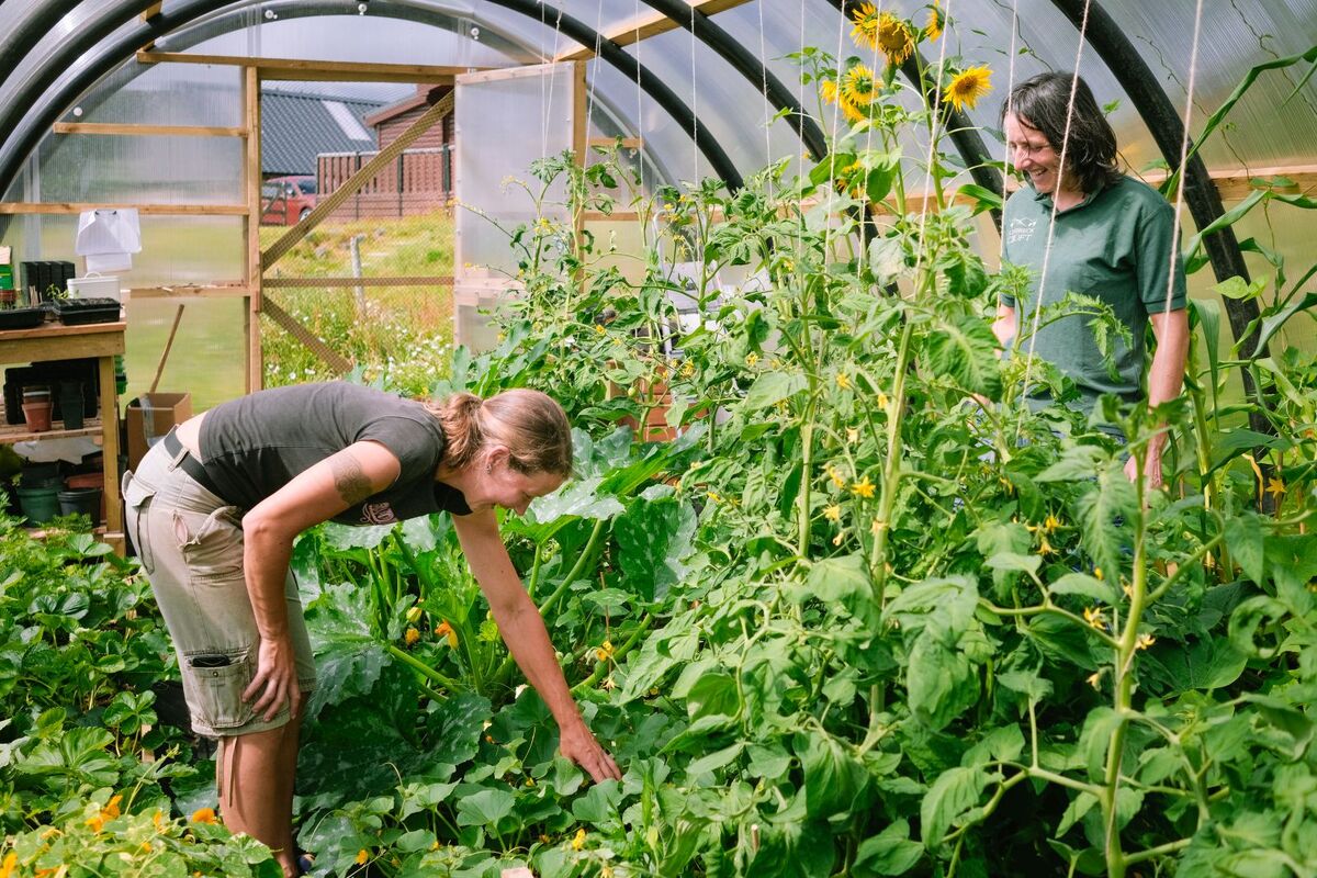 Sandra and Lynn tend the greenhouse at their croft.