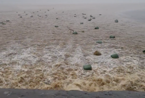 NOA41bales2tdduxdyx300x2021png