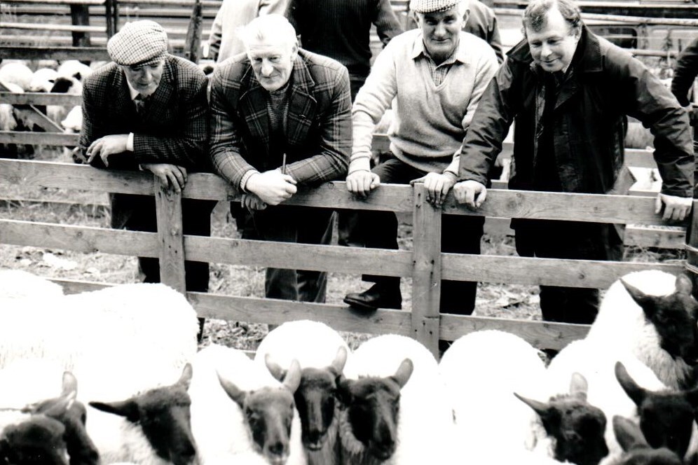 Farmers watch with interest at the first Brodick sale in 1986 after the initial lamb sale ban. It was only last summer inspectors tested the local sheep and declared the Arran farms entirely free from post-Chernobyl statutory restrictions.