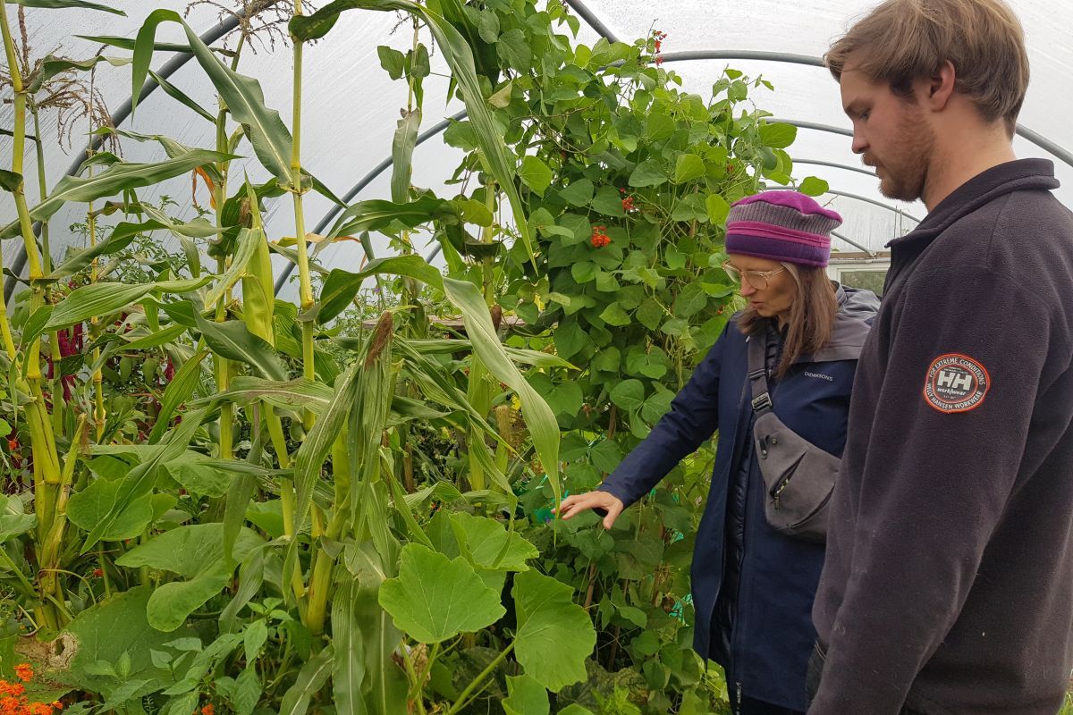 Ariane Burgess MSP visiting a small-scale market garden in Nairn. Photograph: supplied