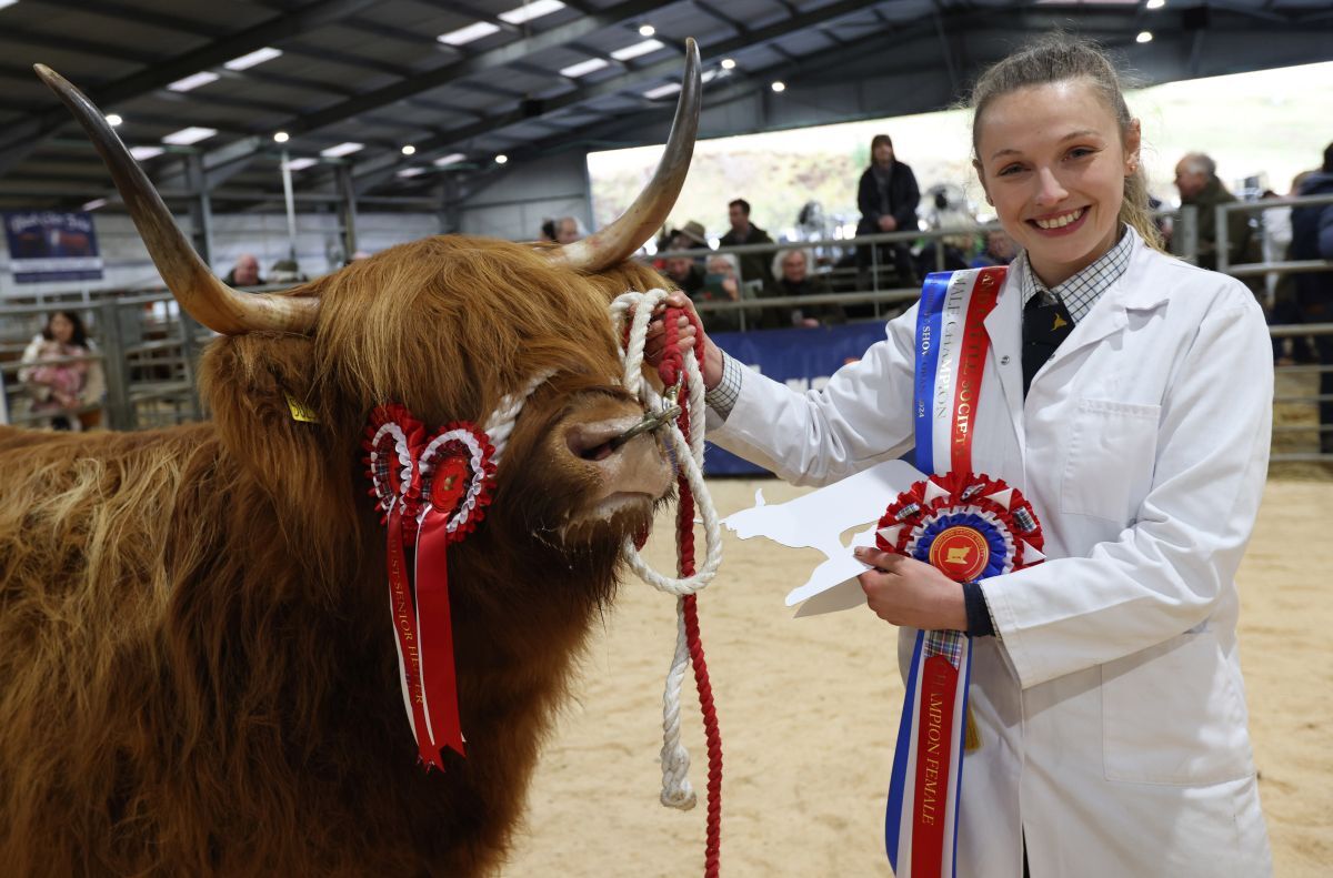 Highlanders show and sale was champion