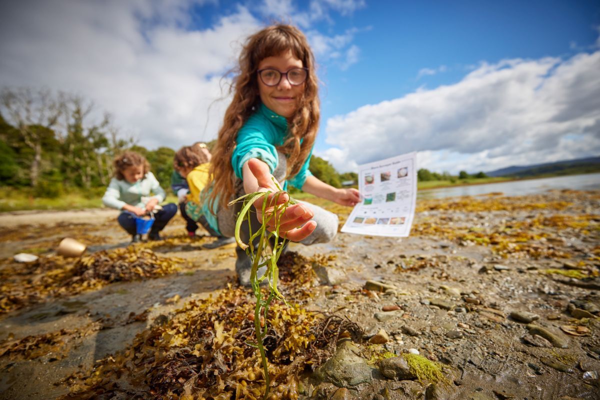 Finding seagrass on the shore. Photograph: Seawilding Finding seagrass on the shore. Photograph: Seawilding
