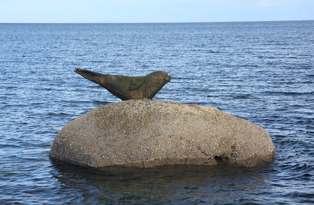 The Corrie seal on its rocky perch in happier times. Photograph: Bob Jones. geograph.org.uk.