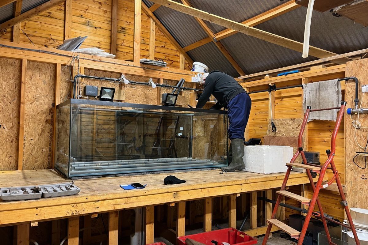 Vandals destroy popular Cairndow aquarium