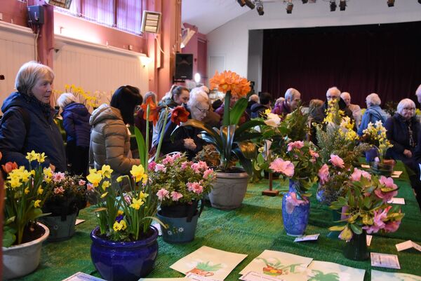 Excitement grows for spring flower and bulb show