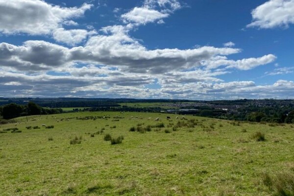 Division sparked as Scottish Parliament passes Land Reform Bill