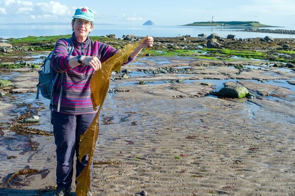 Natural History Society talk takes a dive into marine conservation lessons