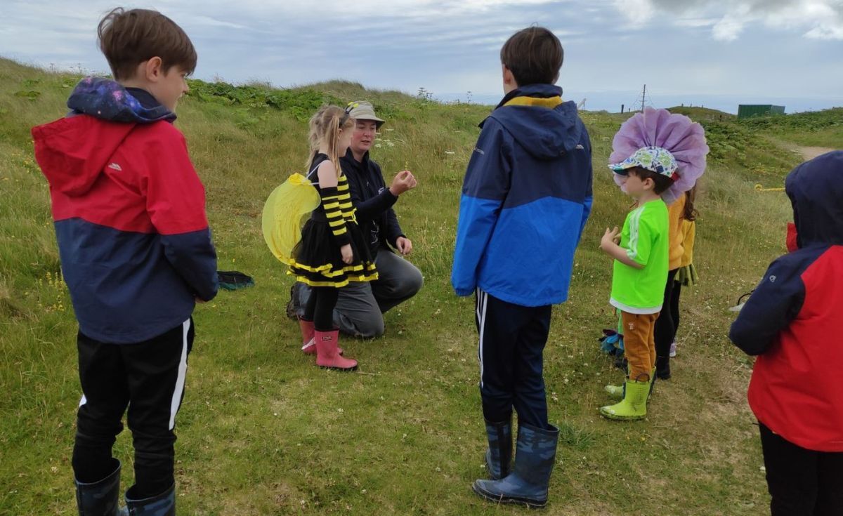 Buzzing about  bumblebee safaris as part of this year's Outer Hebrides Wildlife Festival. Photograph: Katy Malone