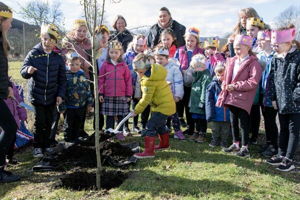 Appin youngsters plant right royal tree