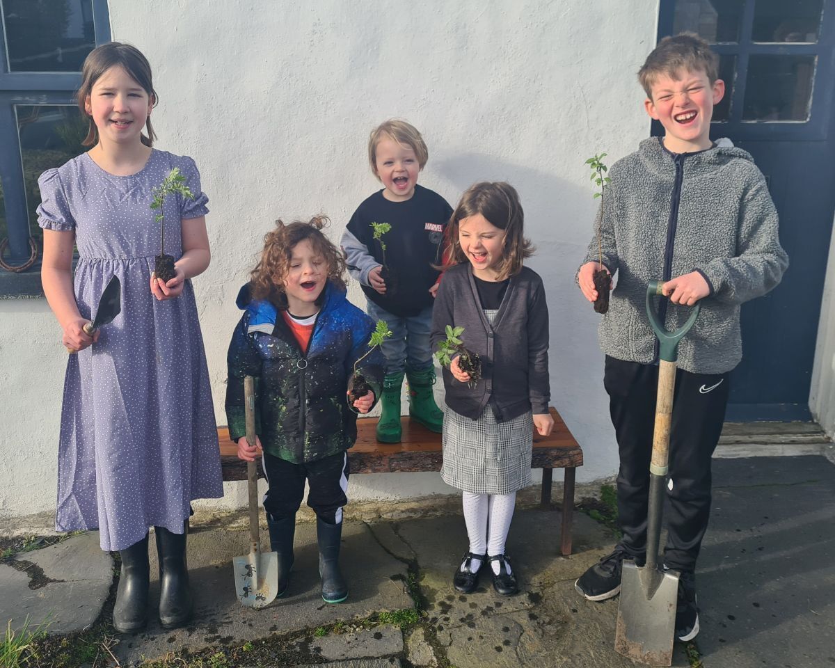 West Coast Today News Rooting for trees on Easdale