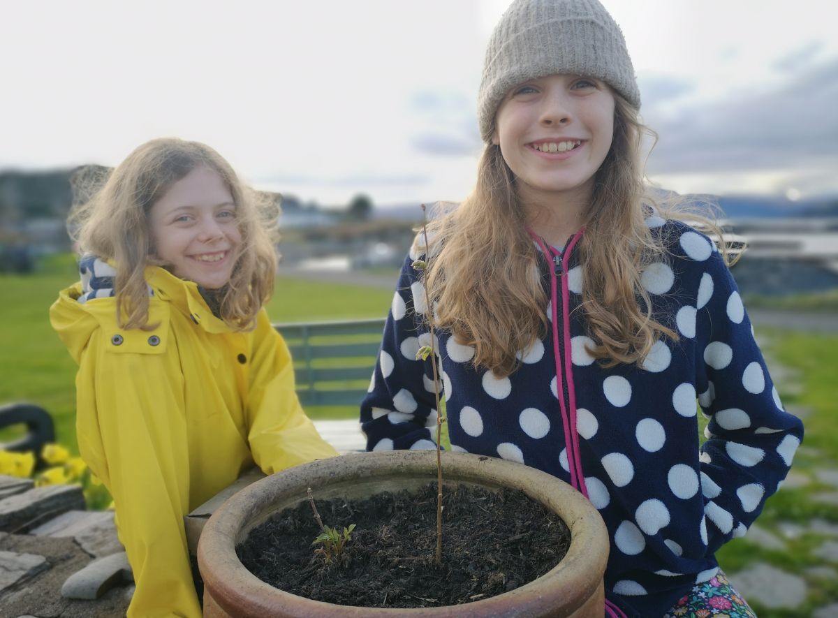 West Coast Today News Rooting for trees on Easdale