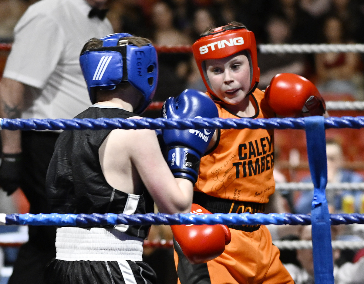 Lochaber Phoenix Boxing Club's Home Show a big hit with crowds