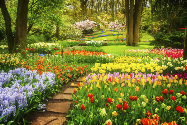 How Does Your Garden Grow - your guide to springtime gardening