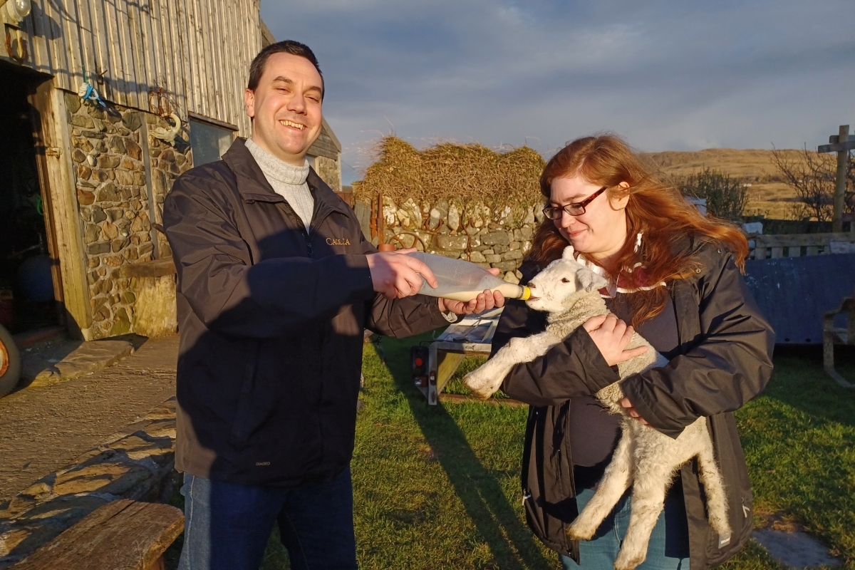 Councillor Alastair Redman and his wife help to feed a lamb on his parents' croft. Photograph: Alastair Redman