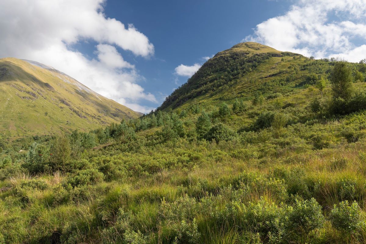 Lochaber nature restoration partnership launches