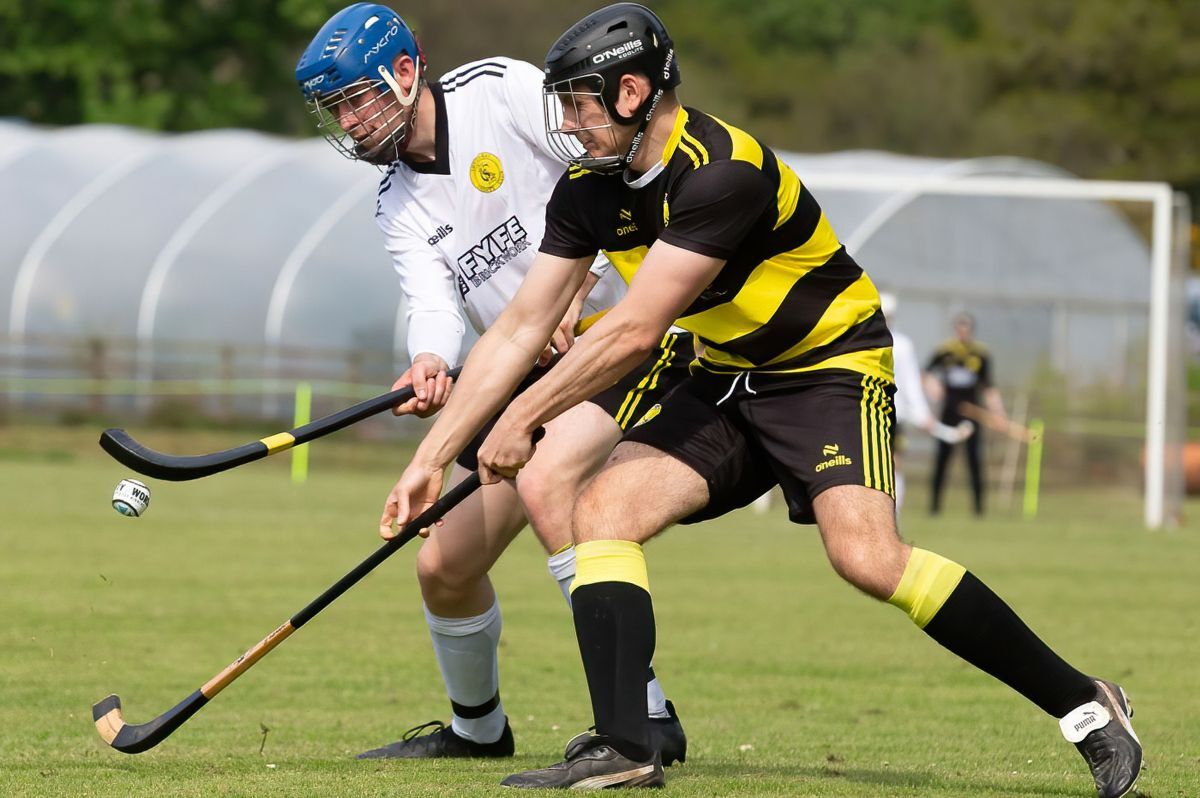 South of Scotland Shinty Round-up - 16.5.24