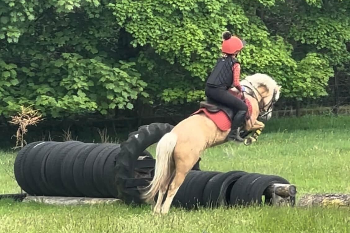 Arygll south Pony Club spring into action with Daffy Ride