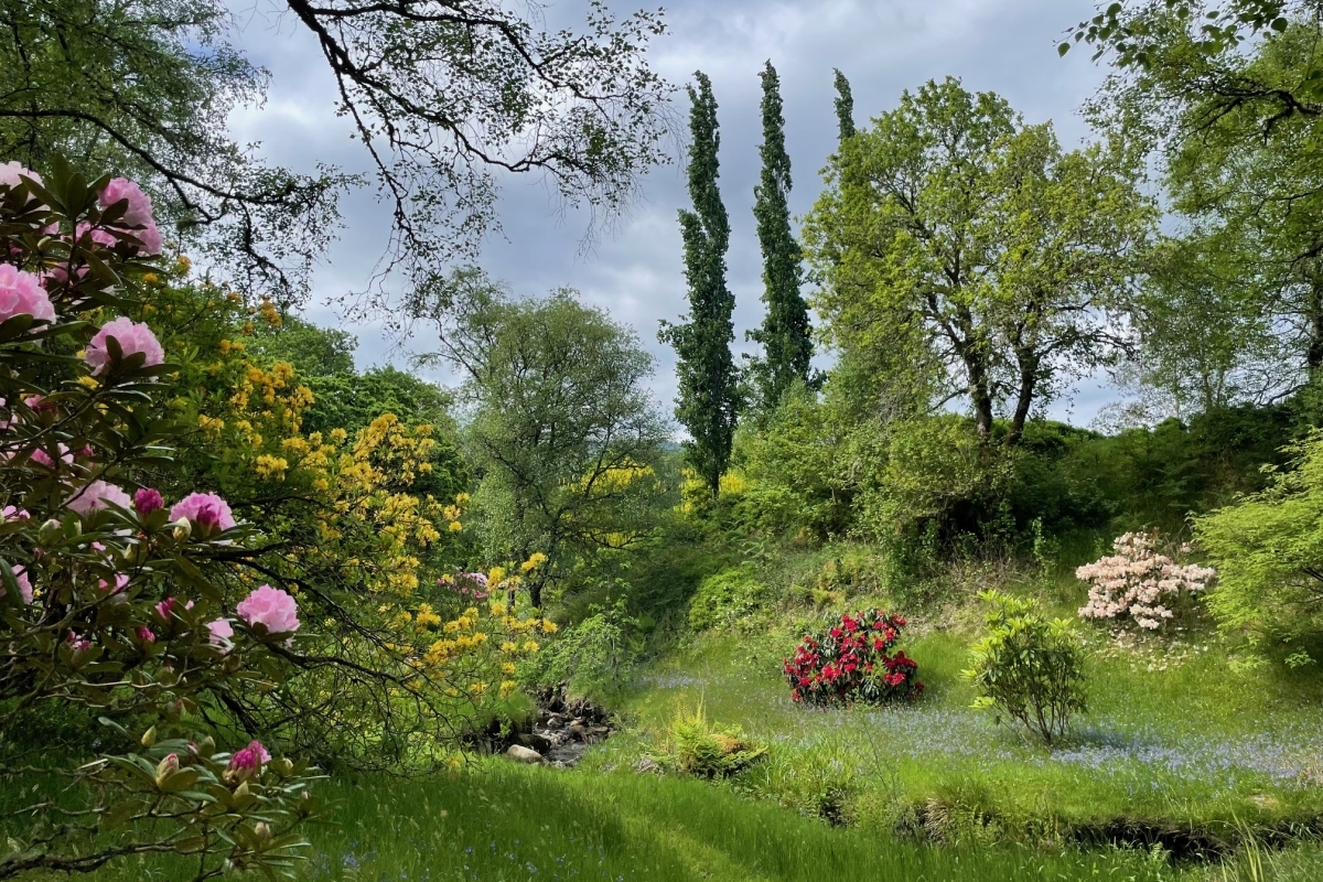 Braevallich Farm Gardens, visited by Oban u3a Gardens and Wildflowers Group. Photograph: Dot Dahl