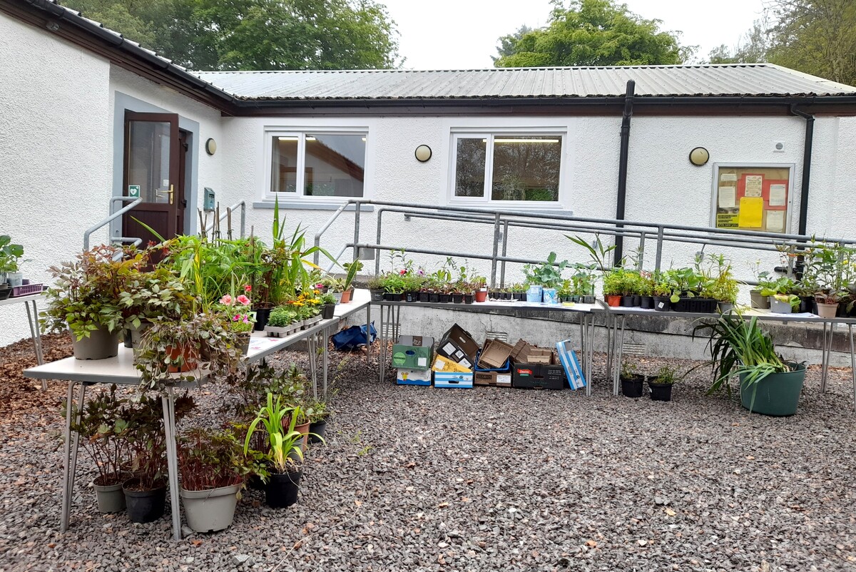 Whitehouse plant share nurtures community spirit