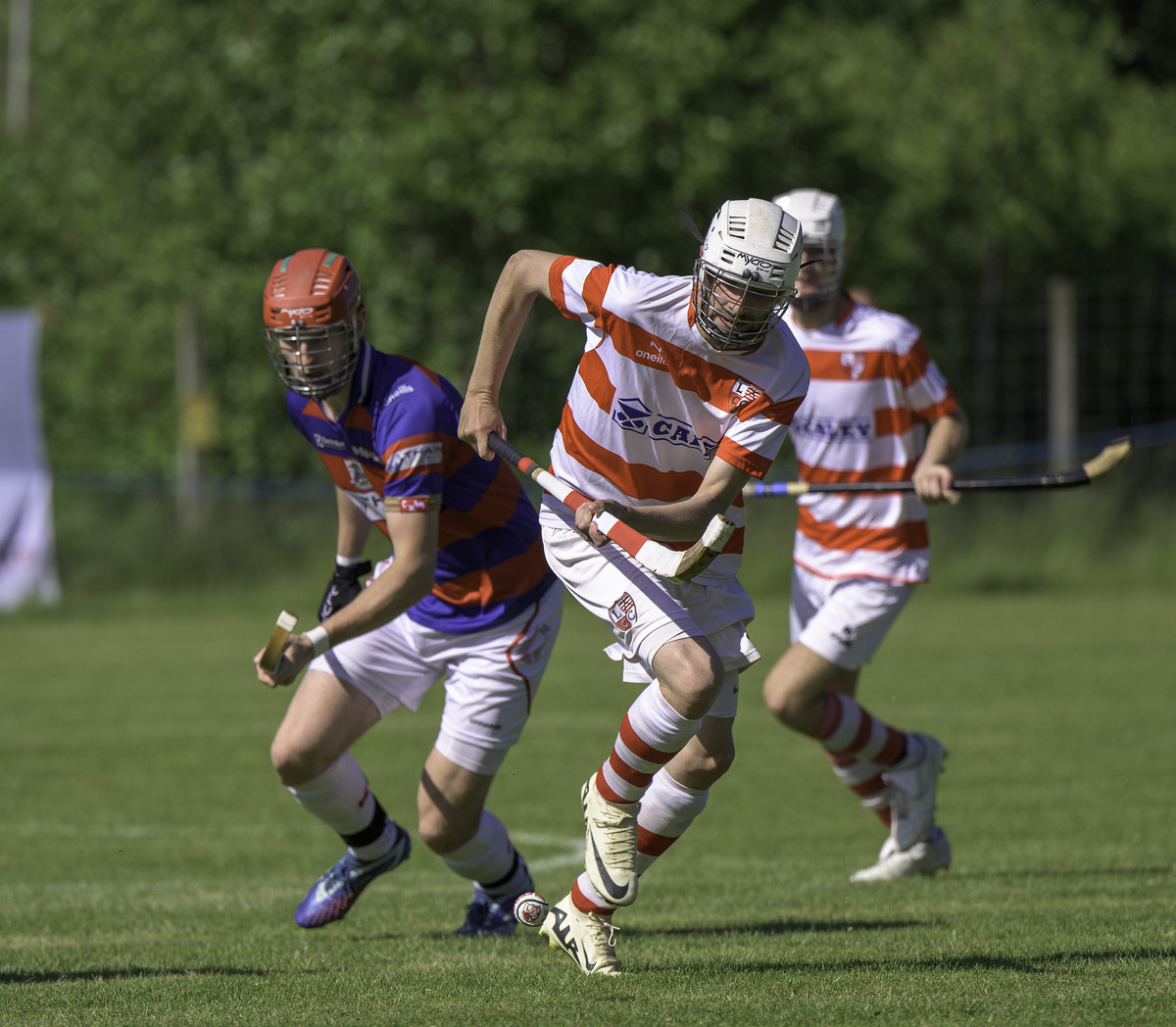 West Coast Today - Sport - North shinty Saturday June 1