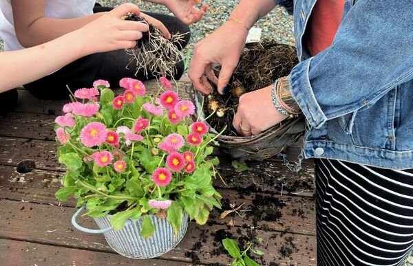 Everything in the garden is rosy...