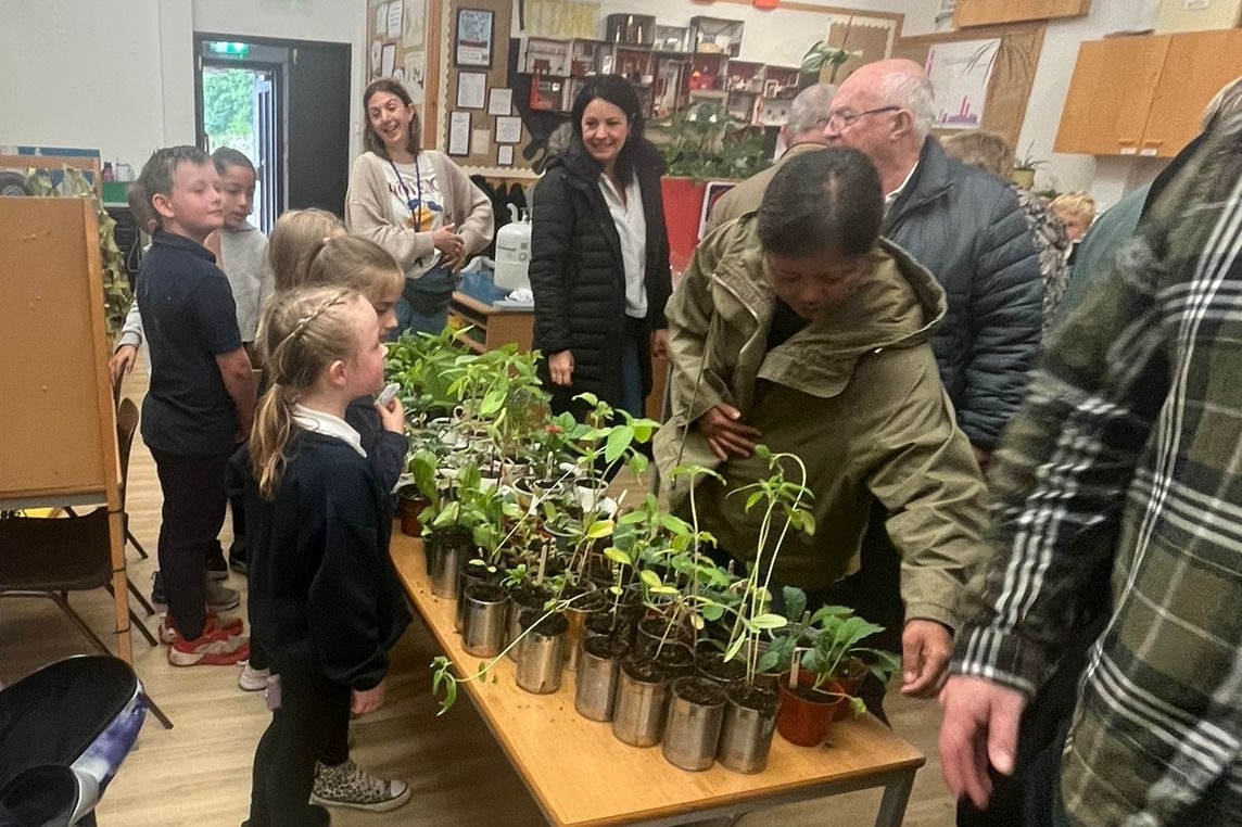 Ardrishaig Primary pupils' plant stall at their open day. Photograph: Ardrishaig Primary School