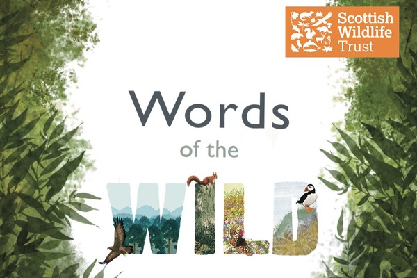 Share your ‘words of the wild’ through nature writing contest