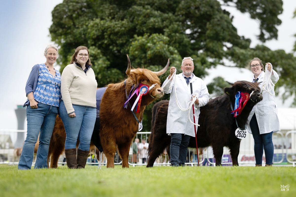 Dalmally's Inga MacGillivray, Kimberly Anne MacGillivray, Angus and Isla MacGillivray with their winning Highlanders at this year's Royal Highland Show. Photograph: MacGregors