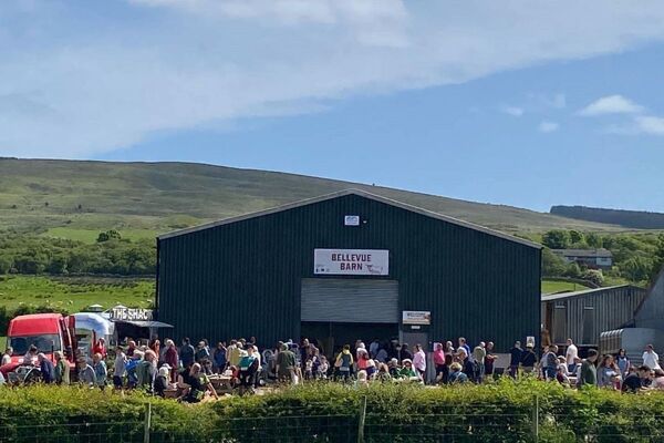 Pig racing among summer farm day highlights