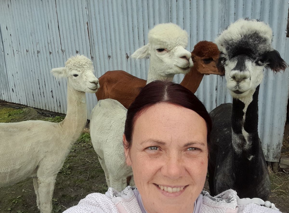 Carol Black with her alpacas who will be at Lismore Show on July 20. Carol Black with her alpacas who will be at Lismore Show on July 20.