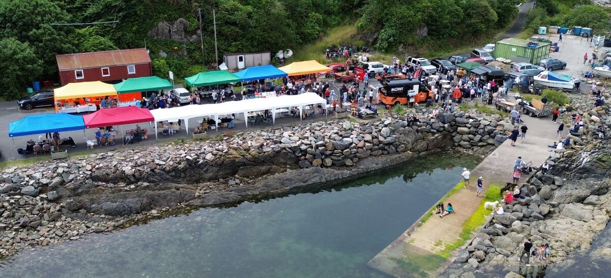 Aerial shot of Carradale Harbour Day.