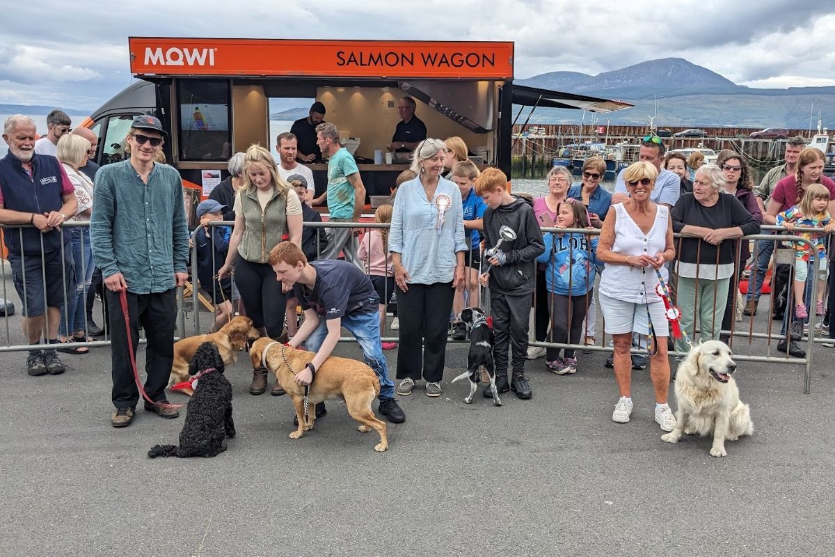 Sunshine, sea and smiles at Carradale Harbour Day