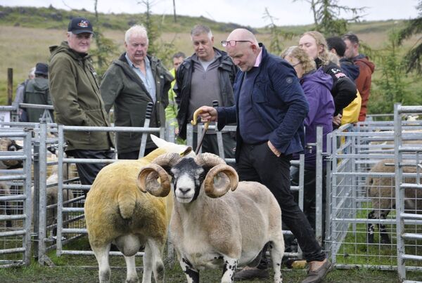 Lismore Show is a winner