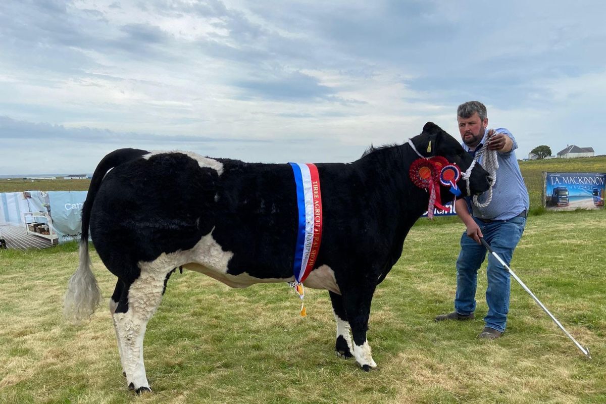 Tiree Show 2024 Champion of Champions Ruaig Tinkerbell from A&I MacInnes. Photograph: Kirsteen MacKinnon